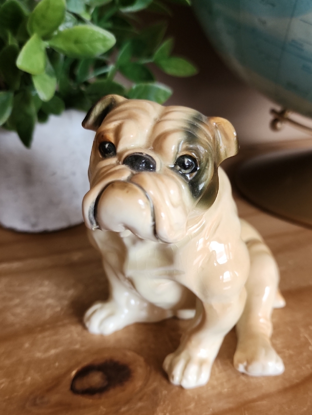 Vintage Ceramic Or Porcelain Bulldog Figurine